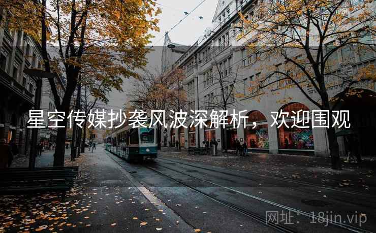 星空传媒抄袭风波深解析，欢迎围观