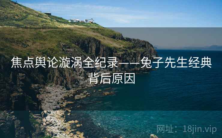 焦点舆论漩涡全纪录——兔子先生经典背后原因