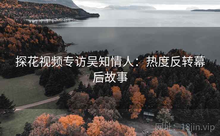 探花视频专访吴知情人：热度反转幕后故事