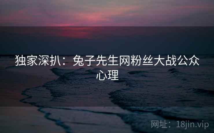 独家深扒：兔子先生网粉丝大战公众心理