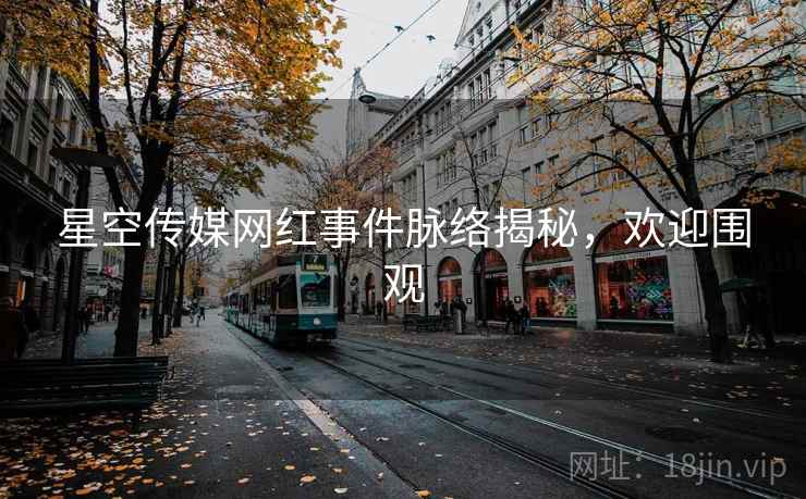 星空传媒网红事件脉络揭秘，欢迎围观