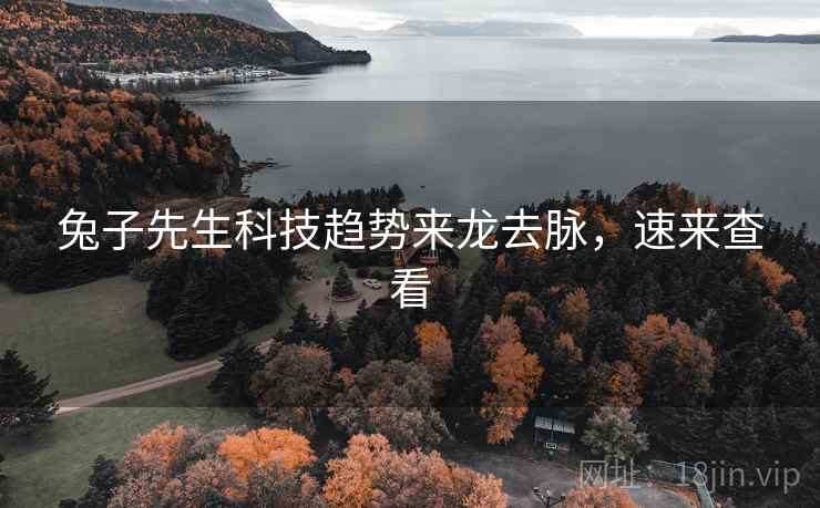 兔子先生科技趋势来龙去脉，速来查看