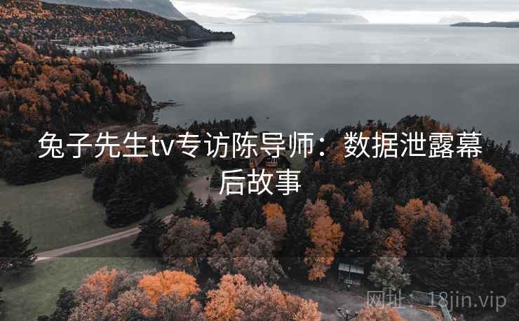 兔子先生tv专访陈导师：数据泄露幕后故事